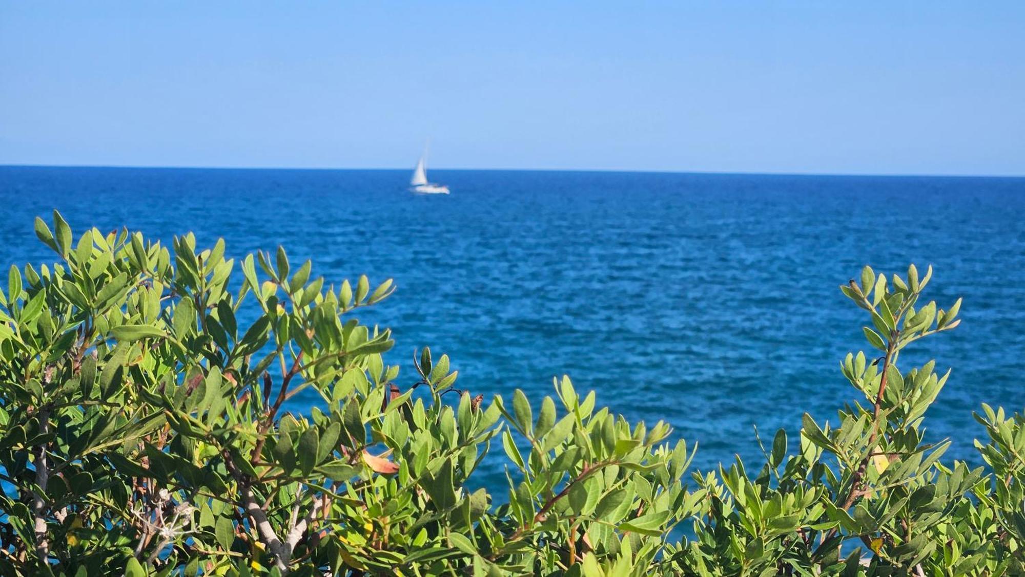 Appartamento Royal Oropesa Oropesa del Mar Esterno foto