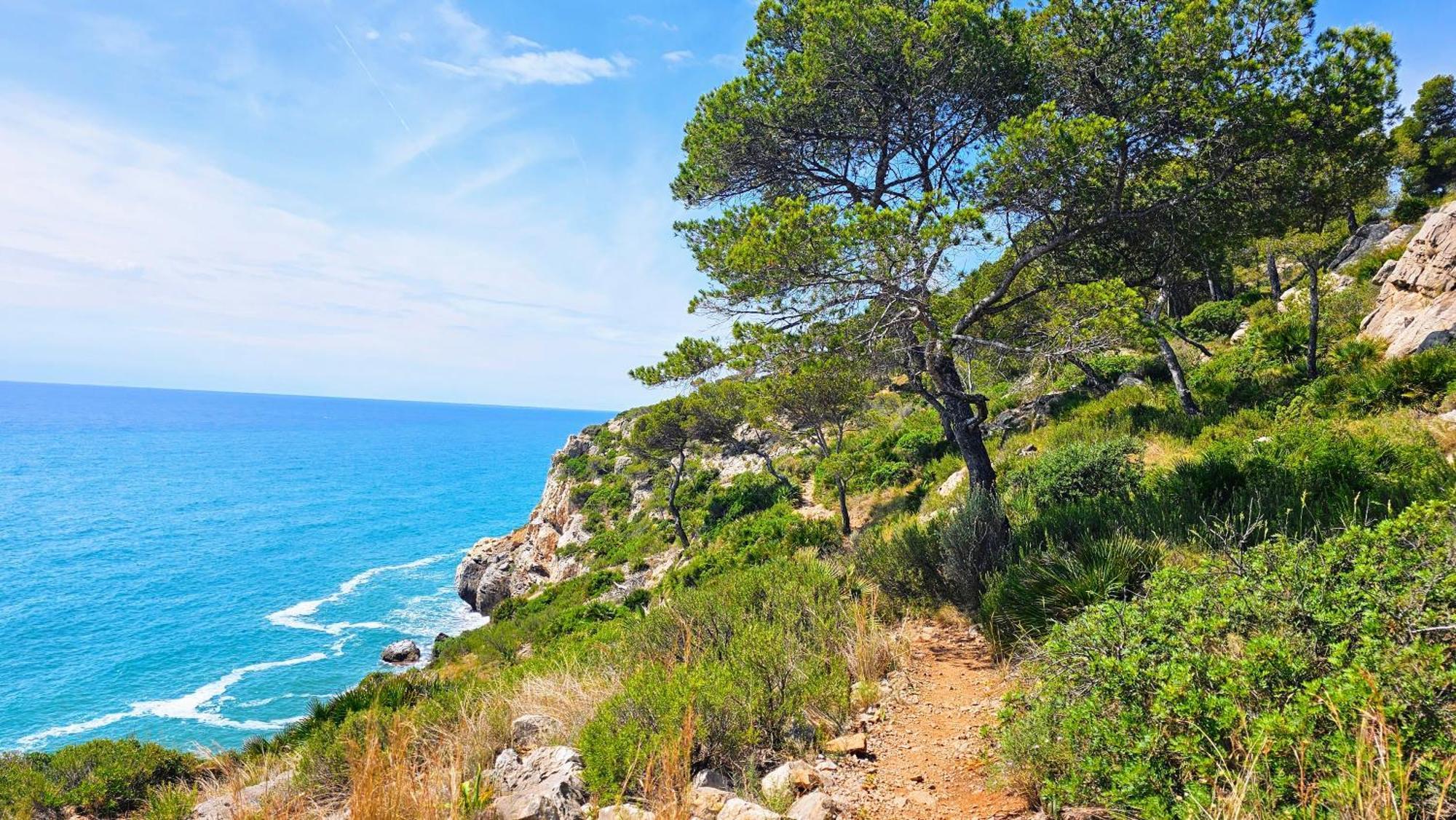 Appartamento Royal Oropesa Oropesa del Mar Esterno foto