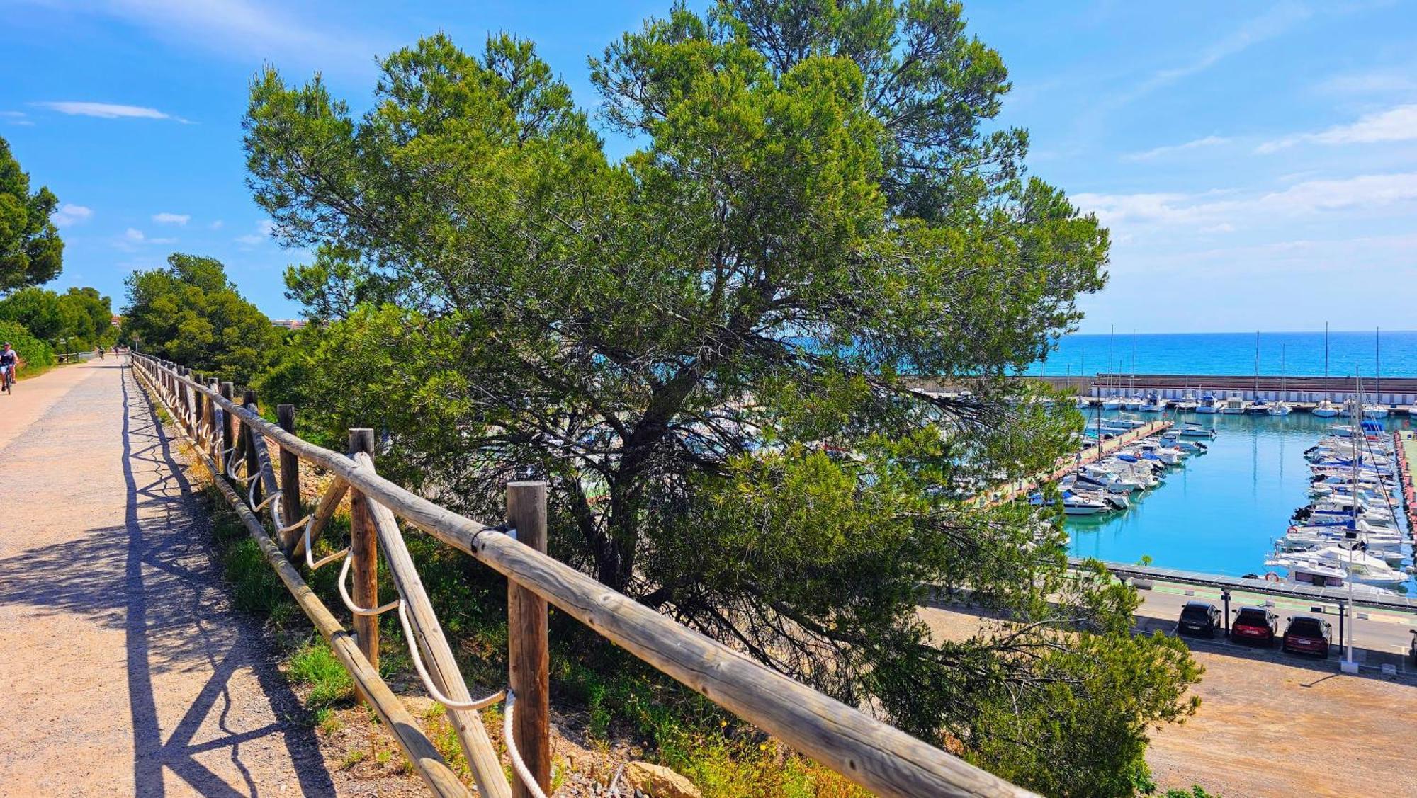 Appartamento Royal Oropesa Oropesa del Mar Esterno foto