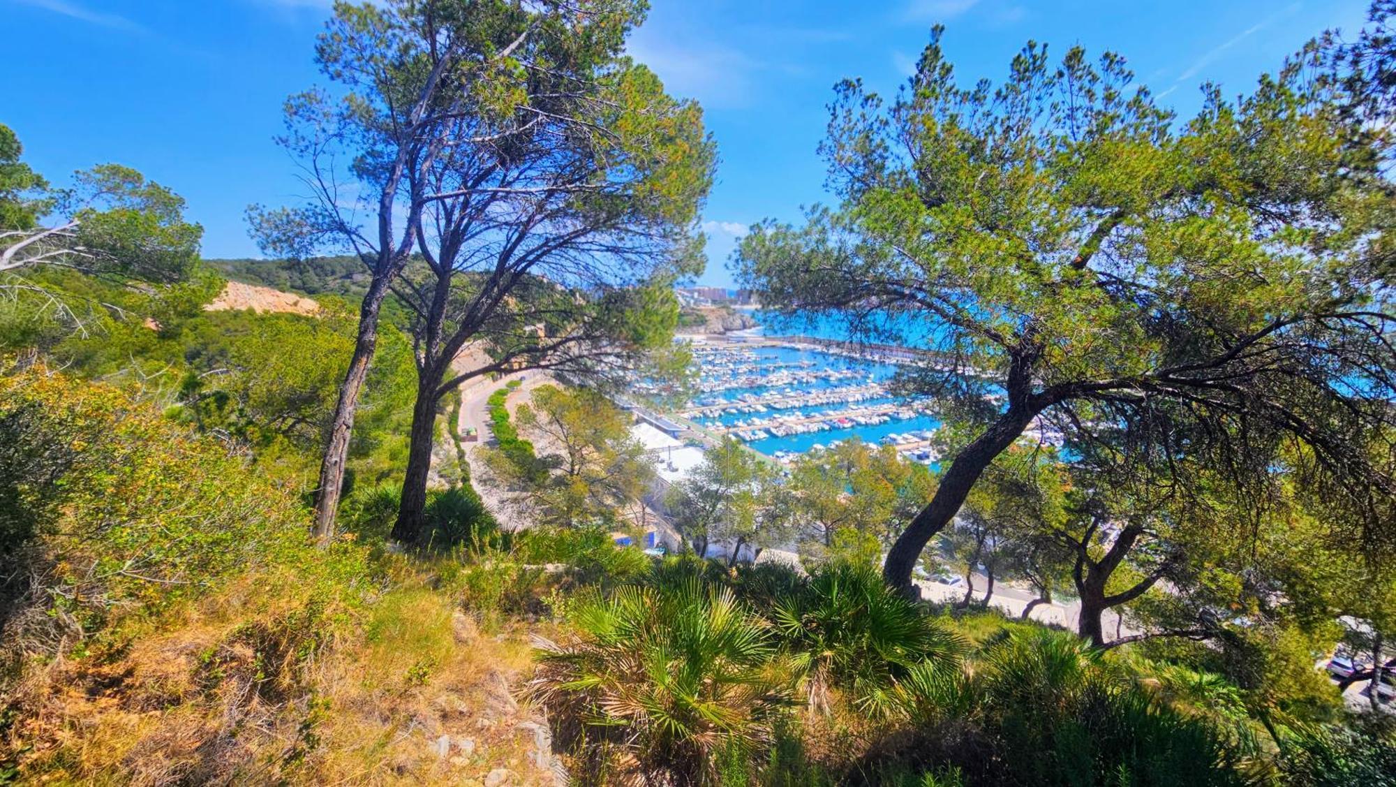 Appartamento Royal Oropesa Oropesa del Mar Esterno foto