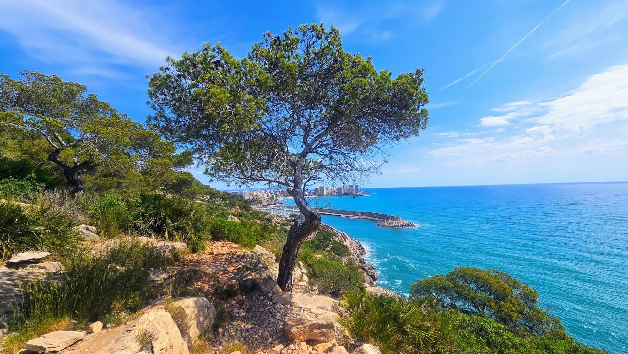 Appartamento Royal Oropesa Oropesa del Mar Esterno foto